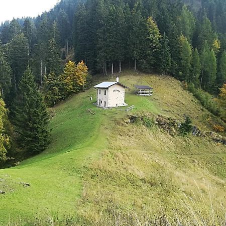 B&B Ai Pini Tiarno di Sopra Buitenkant foto