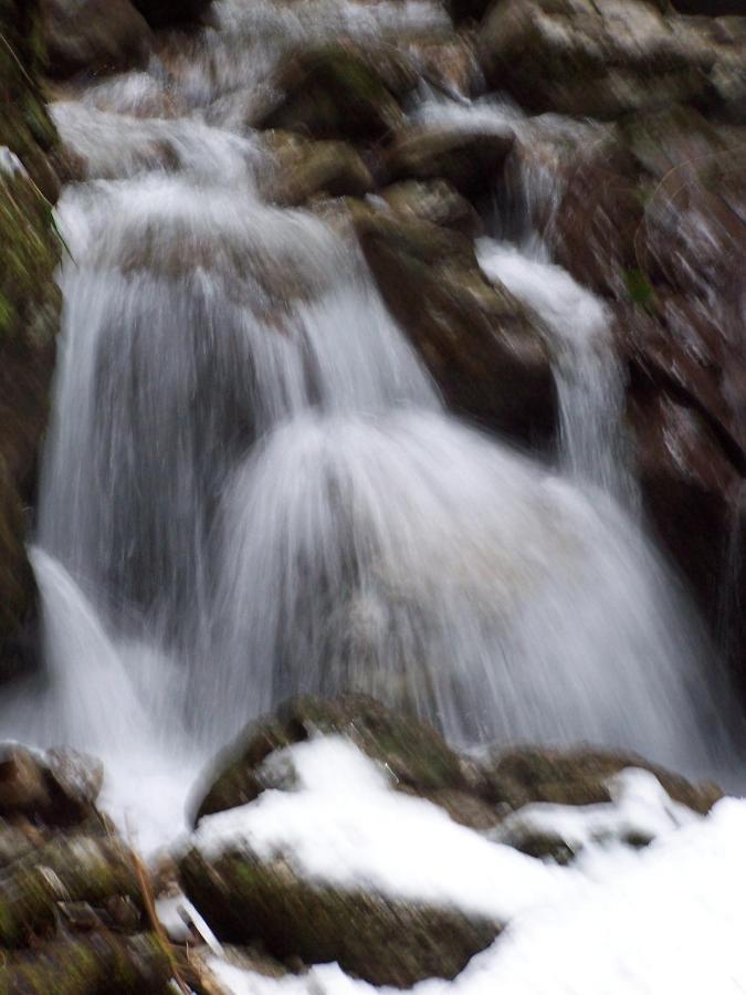 B&B Ai Pini Tiarno di Sopra Buitenkant foto