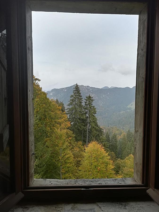 B&B Ai Pini Tiarno di Sopra Buitenkant foto