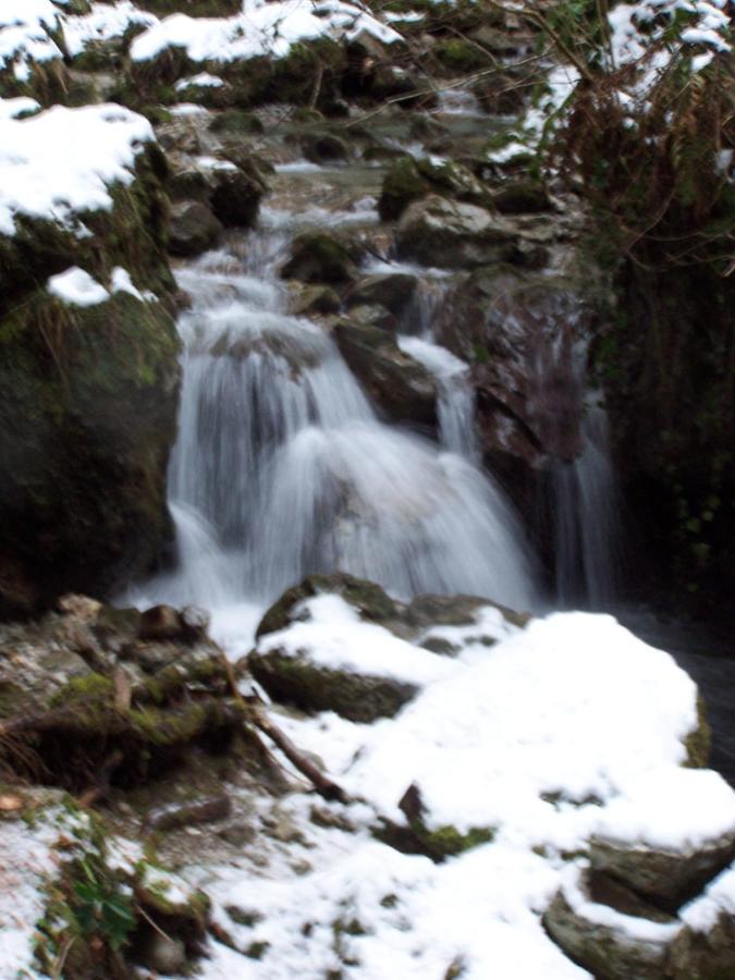 B&B Ai Pini Tiarno di Sopra Buitenkant foto