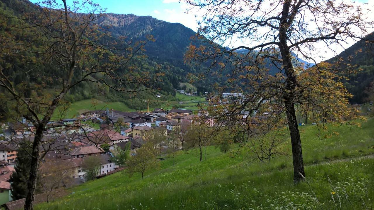 B&B Ai Pini Tiarno di Sopra Buitenkant foto